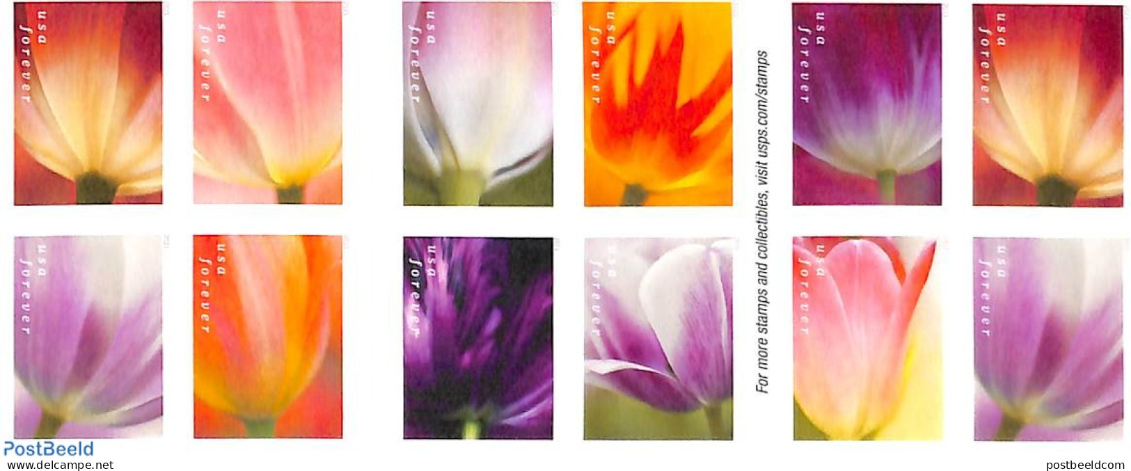 United States Of America 2023 Tulip Blossoms 2x10v S-a In Double Sided Booklet, Mint NH, Nature - Flowers & Plants - Ongebruikt