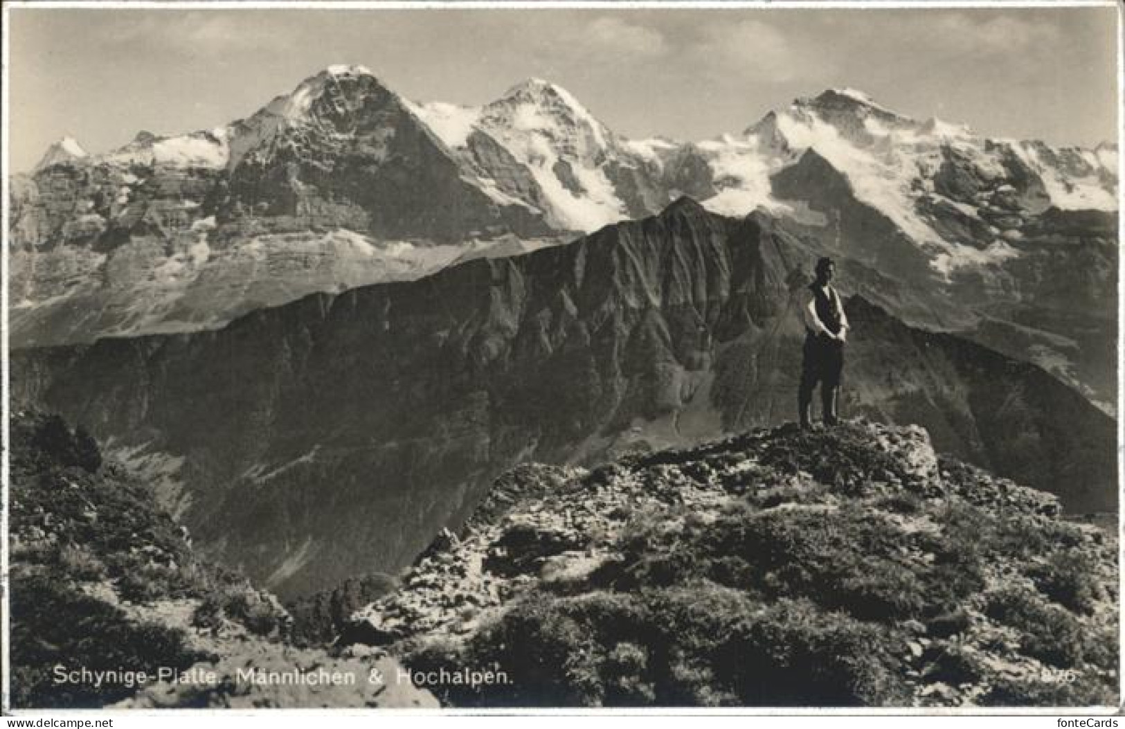 11353322 Schynige Platte Panorama Mit Maennlichen Und Hochalpen Schynige Platte - Autres & Non Classés