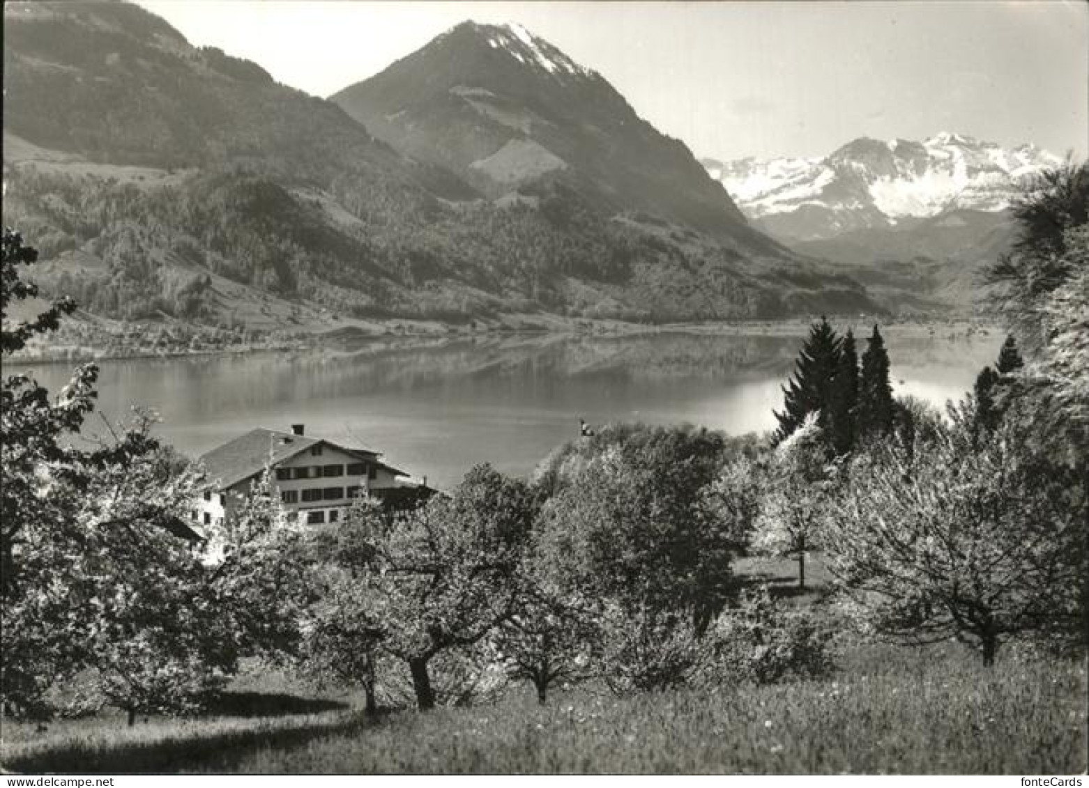 11339536 Sarnen Kurhaus Friedenfels Am Sarnersee Sarnen - Altri & Non Classificati