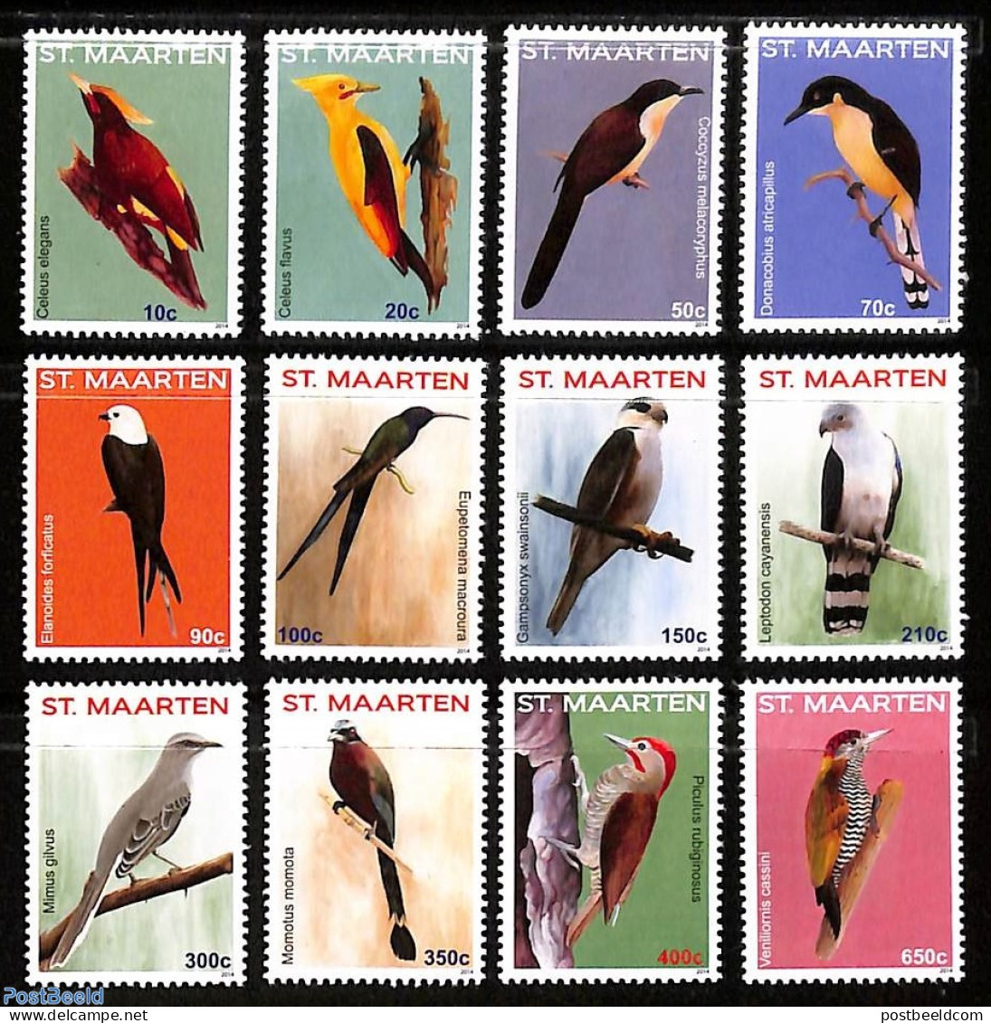 St. Maarten 2014 Birds 12v, Mint NH, Nature - Birds - Sonstige & Ohne Zuordnung
