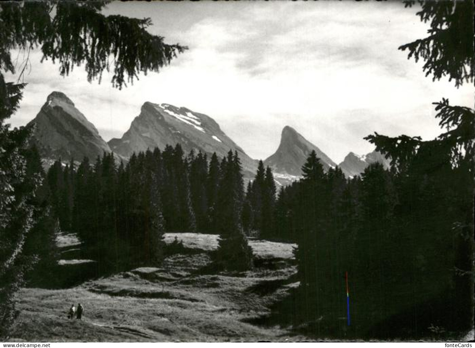 11339124 Toggenburg Ferienland Obertoggenburg Alp Sellamatt Mit Churfirsten Appe - Andere & Zonder Classificatie