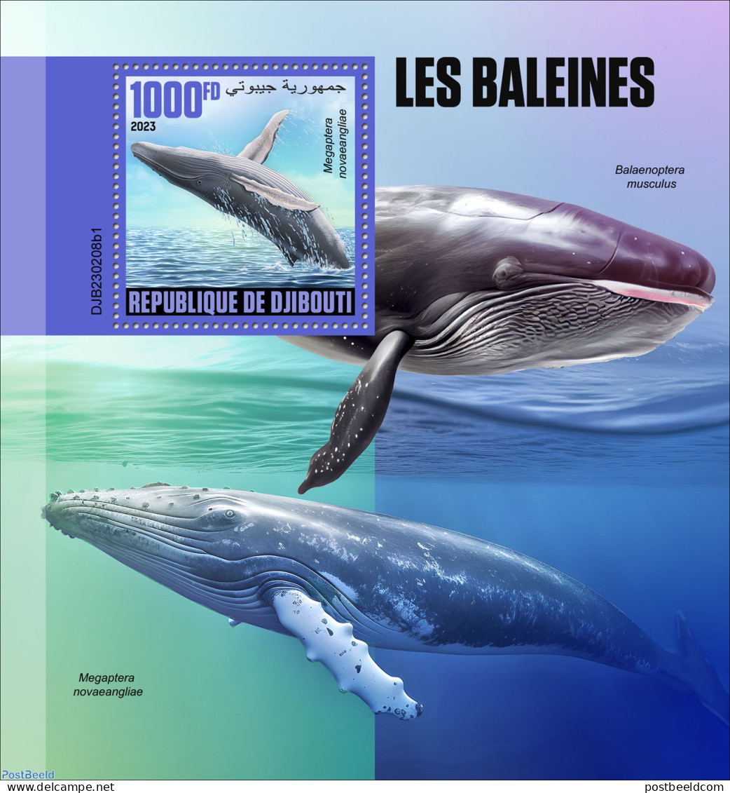 Djibouti 2023 Whales, Mint NH, Nature - Sea Mammals - Yibuti (1977-...)