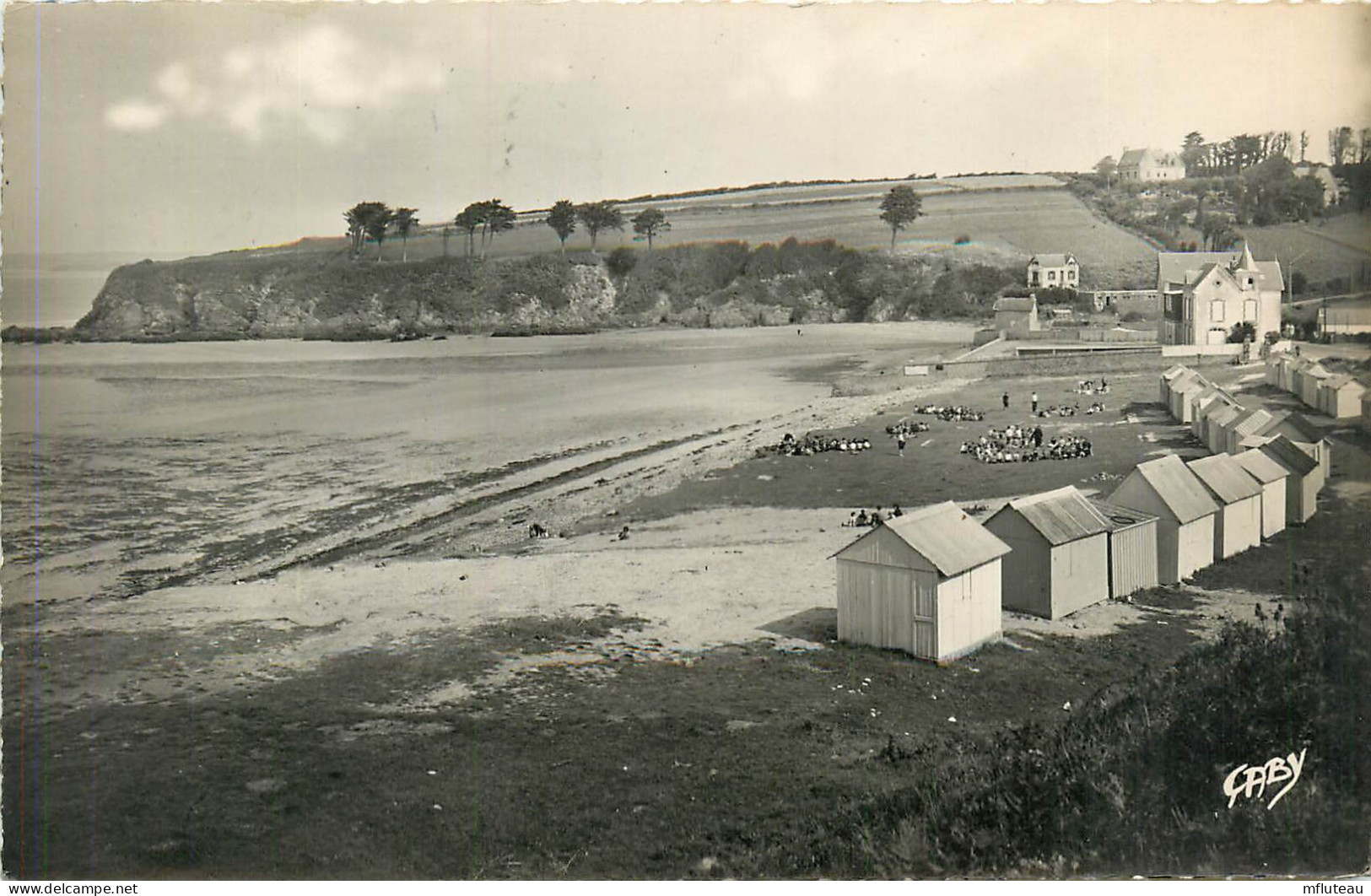 29* DOUARNENEZ  Plage Du Ris  (CPSM 9x14cm)   RL23,0319 - Douarnenez