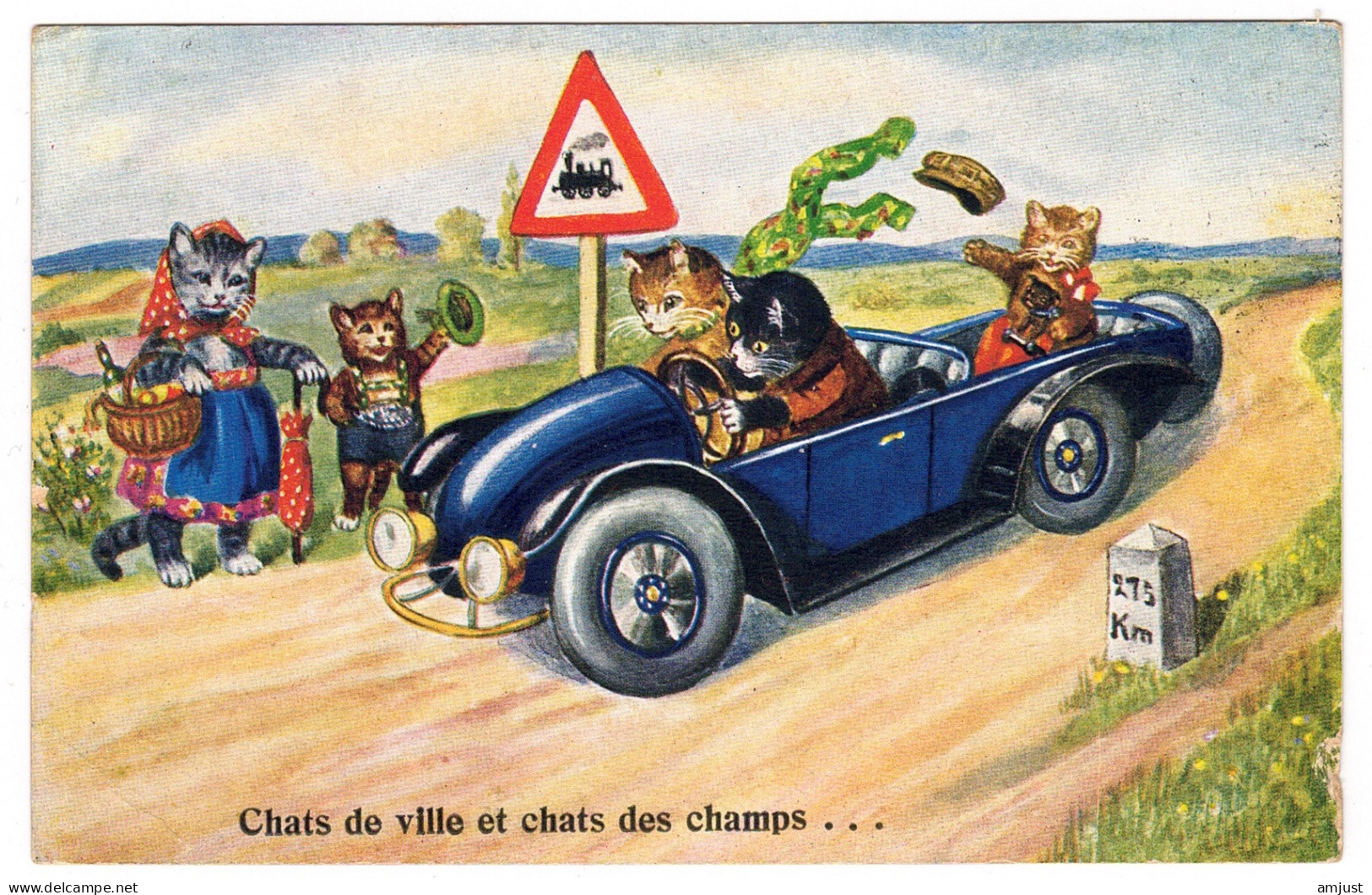 Chats Humanisés Habillés - Katzen