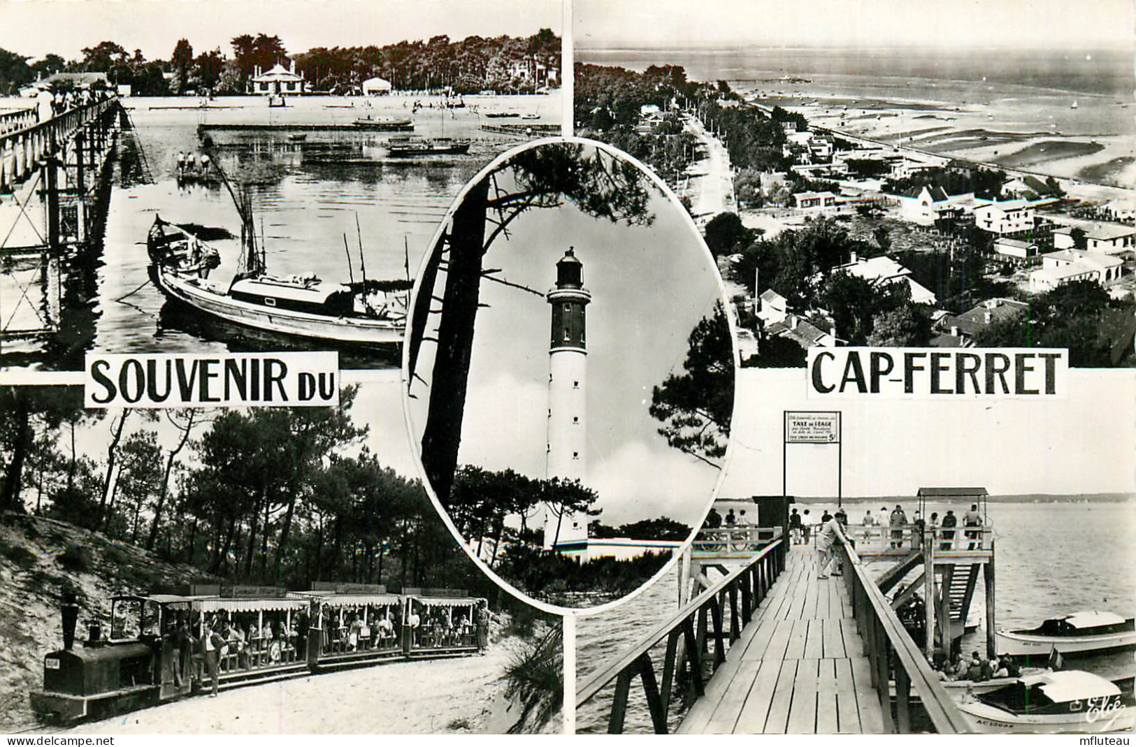 33* CAP FERRET  Souvenir -  Multi Vues   (CPSM 9x14cm)      RL23,0883 - Andere & Zonder Classificatie