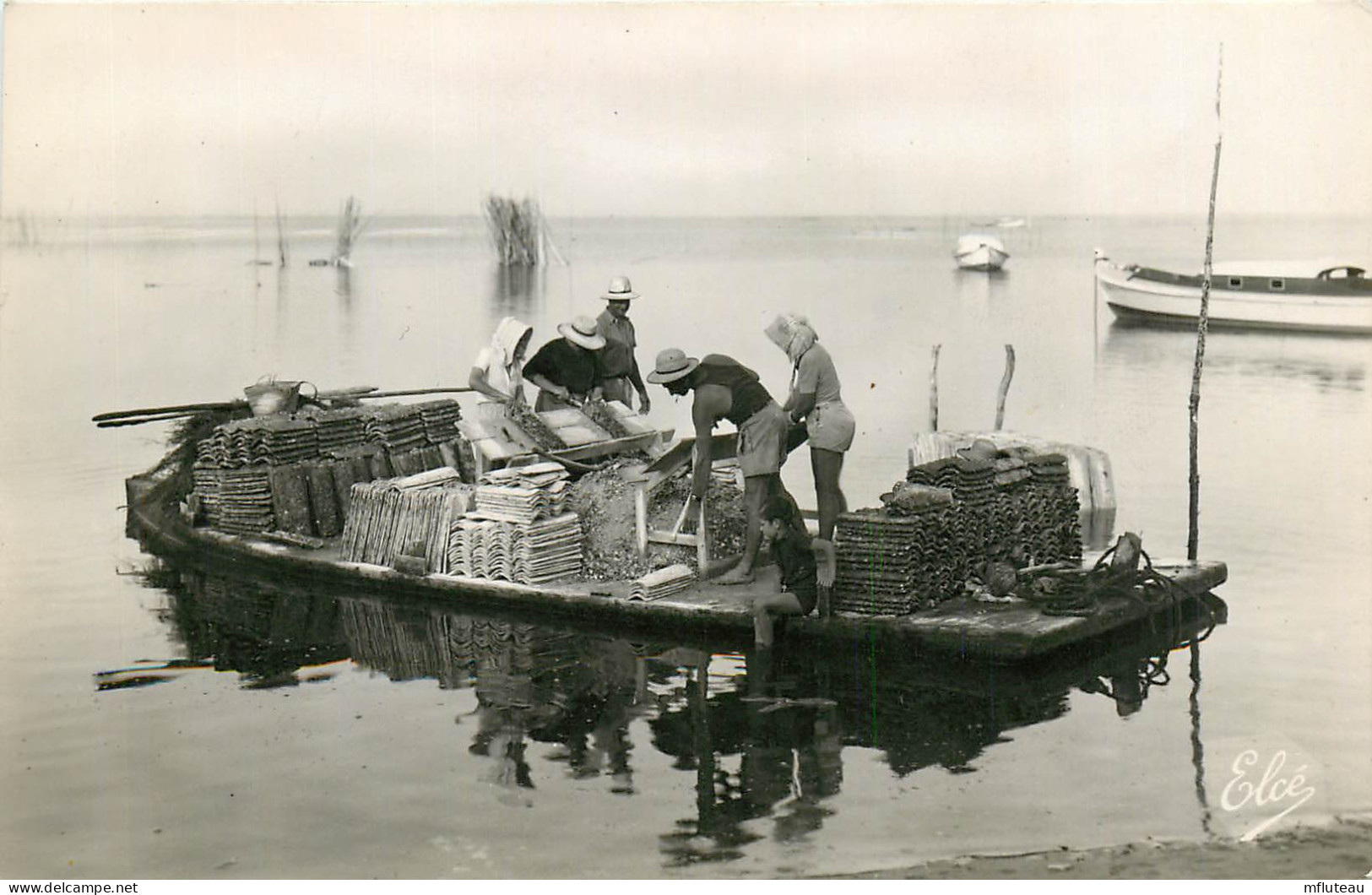 33* ARCACHON  Chaulage Des Tuiles Avant Mise En Place    (CPSM 9x14cm)   RL23,0832 - Pêche