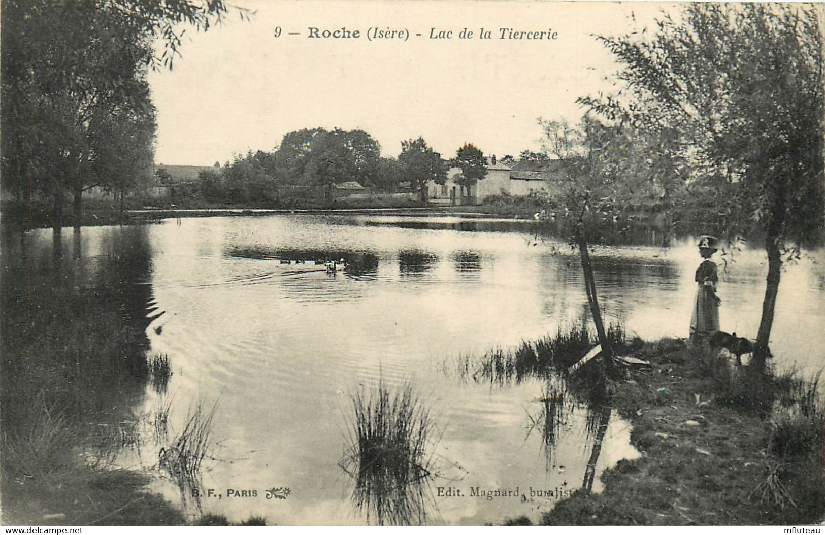 38* ROCHE  Lac De La Tiercerie      RL23,1666 - Sonstige & Ohne Zuordnung