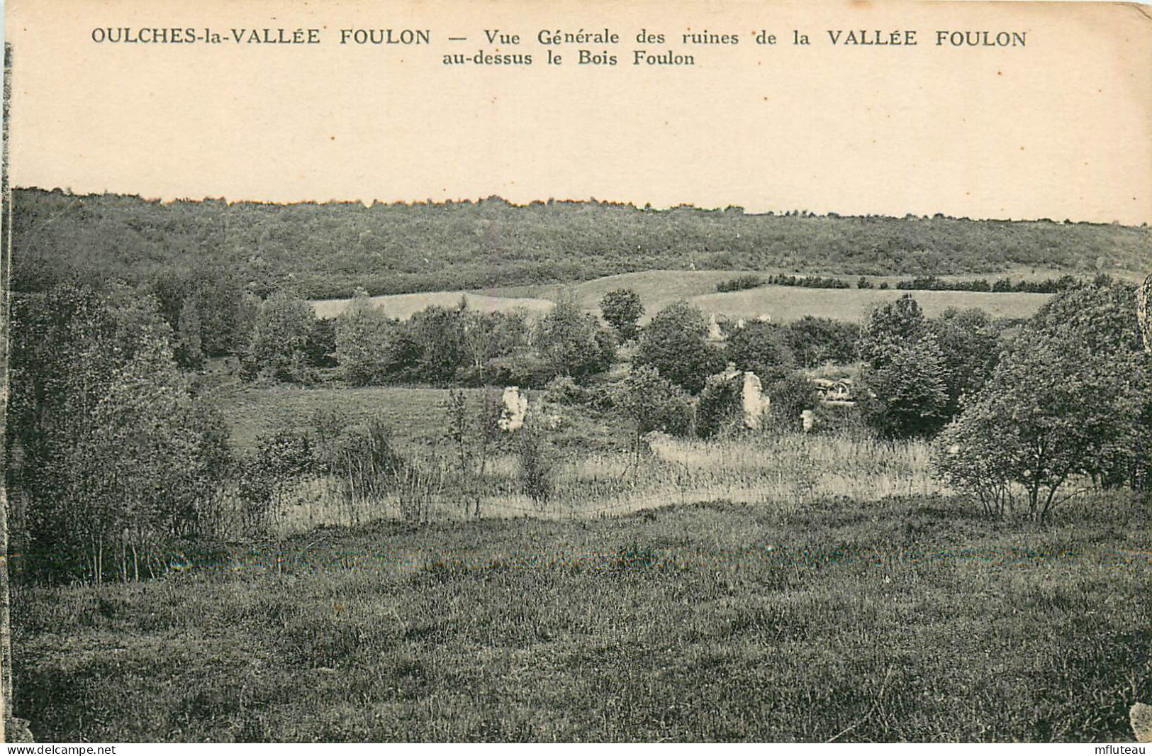 36* OULCHES LA VALLEE  FOULON  Vue Generale Des Ruines De La Vallee     RL23,1368 - Autres & Non Classés