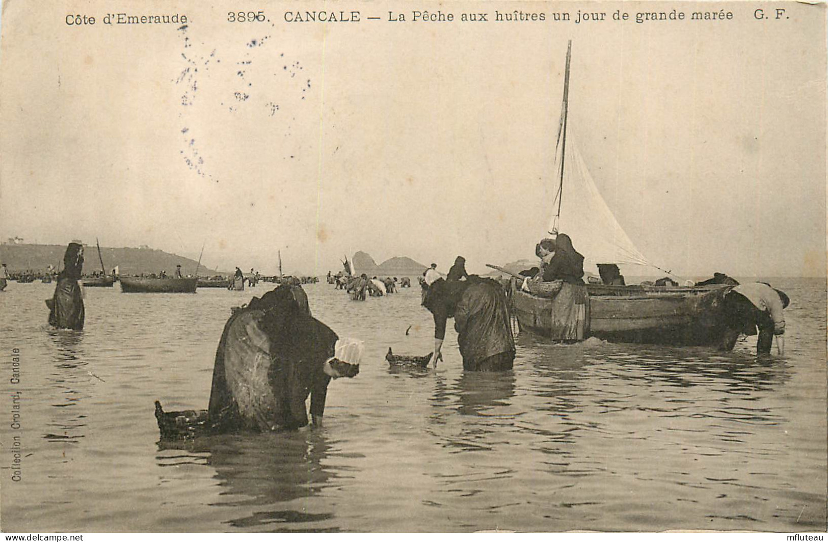 35* CANCALE    Peche Aux Huitres En Grande Maree  RL23,1224 - Pêche