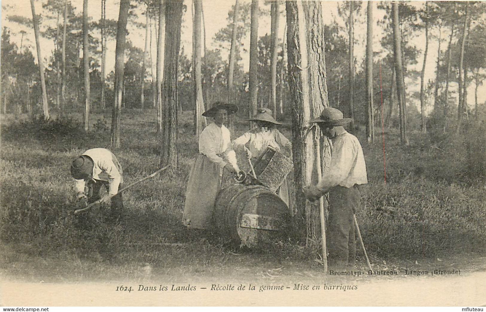 40* LANDES  Recolte De La Gemme  Mise En Barrique   RL23,2004 - Autres & Non Classés