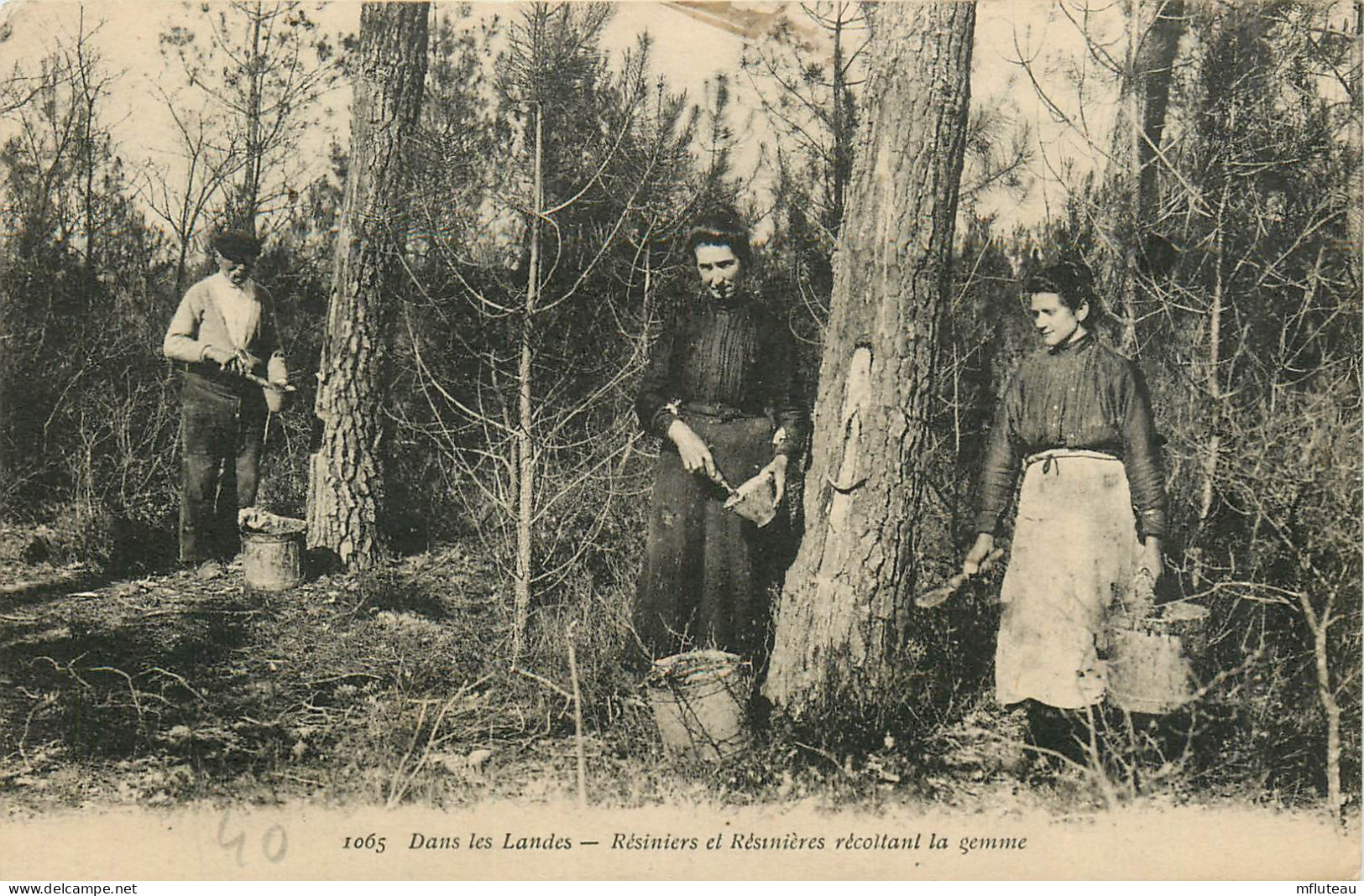 40* LANDES   Resiniers Et Resinieres     RL23,1994 - Artigianato