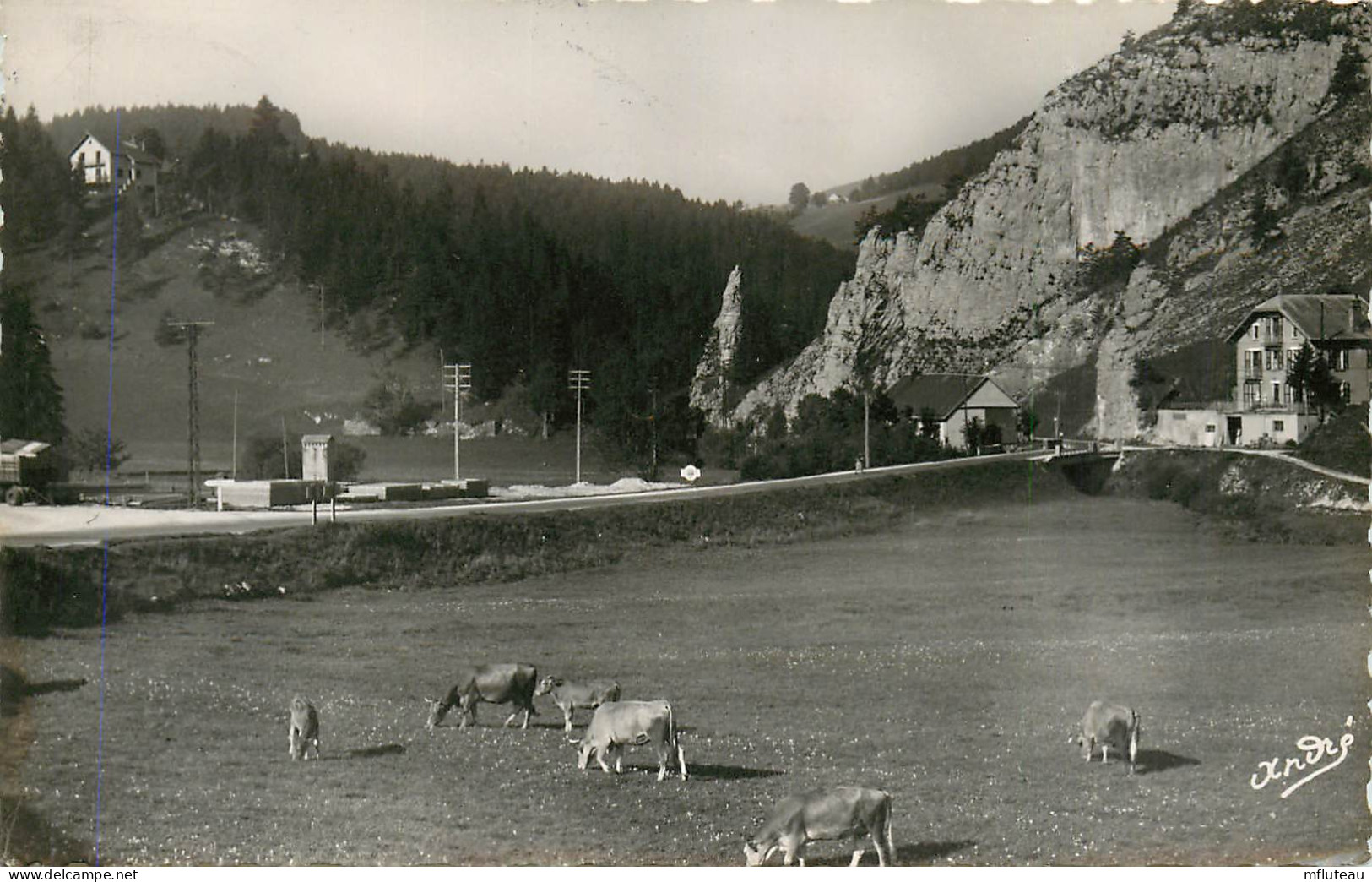 38* VILLARD DE LANS  Route De Ponts En Royans  (CPSM 9x14cm)     RL23,1797 - Villard-de-Lans