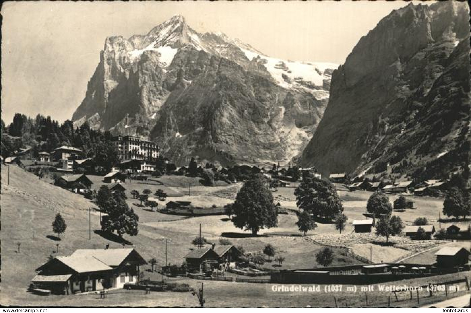 11337617 Grindelwald Ortsansicht Mit Wetterhorn Grindelwald - Andere & Zonder Classificatie