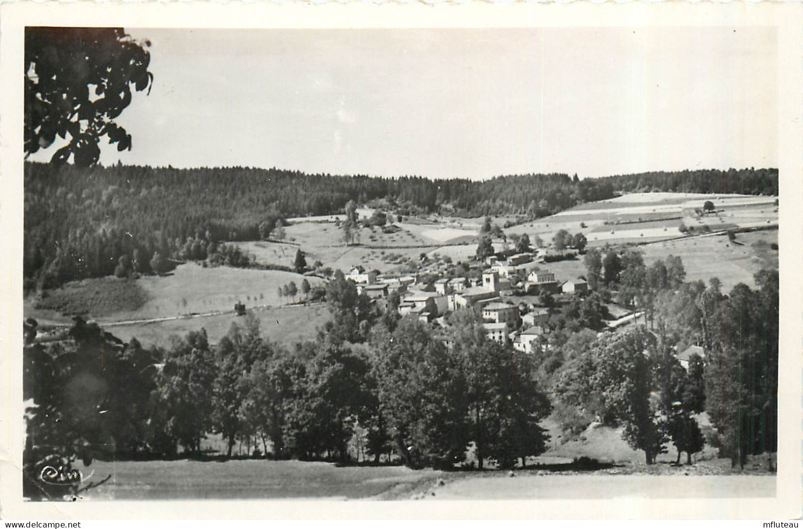 63* AUZELLES  Vue Generale (CPSM 9x14cm)        RL35.0528 - Other & Unclassified