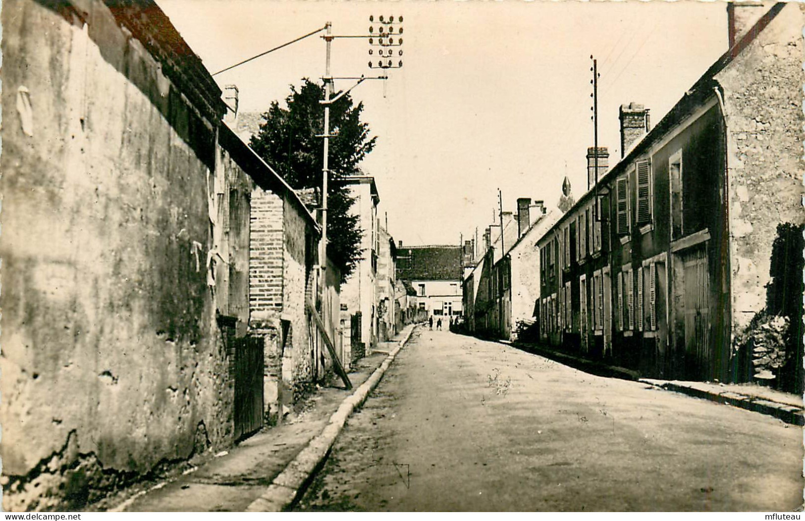 61* NOCE   Route De Nogent  (CPSM 9x14cm)      RL35.0241 - Autres & Non Classés