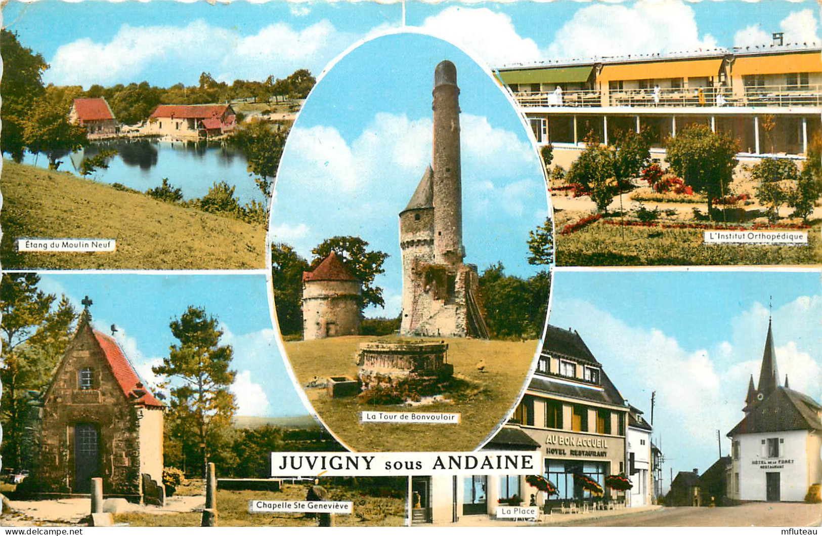 61* JUVIGNY SOUS ANDAINE Multi-vues (CPSM 9x14cm)        RL35.0198 - Juvigny Sous Andaine