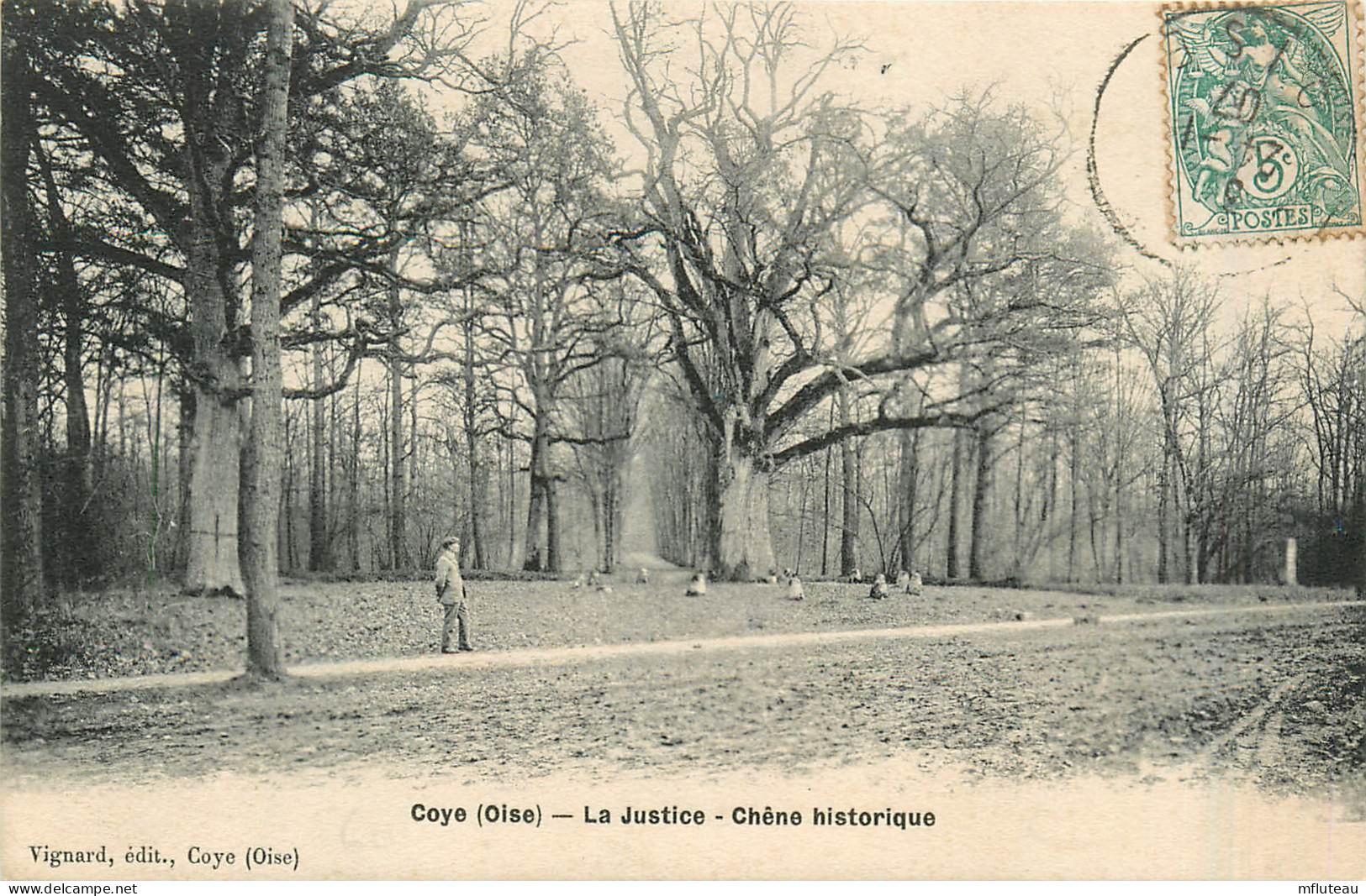 60* COYE  « la Justice »  Chene Historique        RL35.0173 - Autres & Non Classés