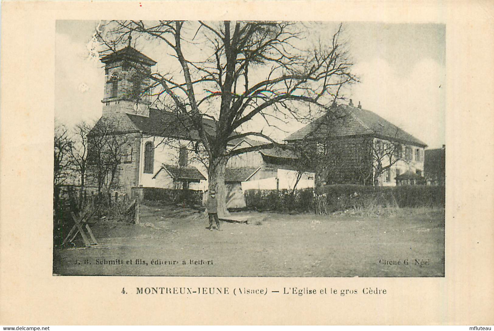 68* MONTREUX JEUNE              Eglise  Grand Cedre          RL35.0848 - Sonstige & Ohne Zuordnung