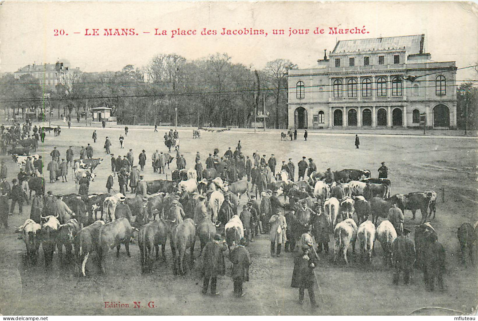 72* LE MANS Place Des Jacobins Jour De Marche         RL35.1278 - Le Mans