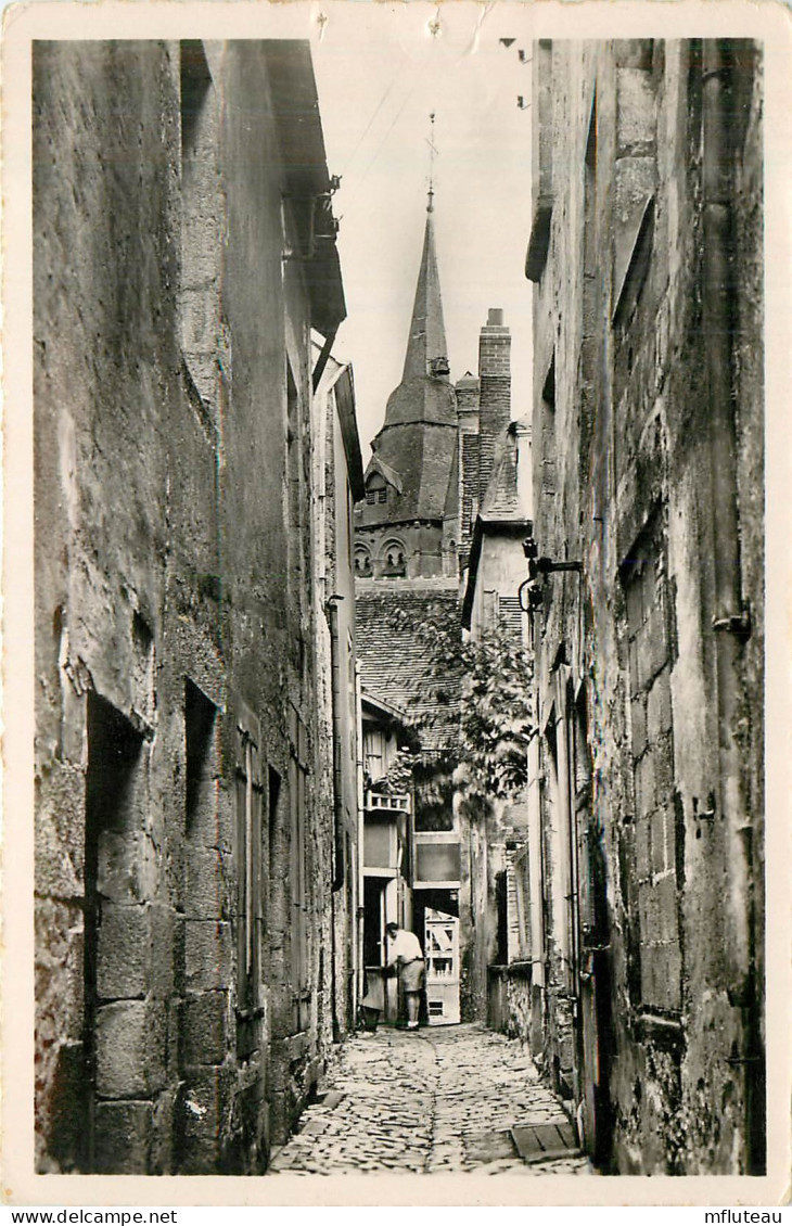 72* FRESNAY S/SARTHE  Ruelle Du Cygne(CPSM 9x14cm)       RL35.1160 - Andere & Zonder Classificatie