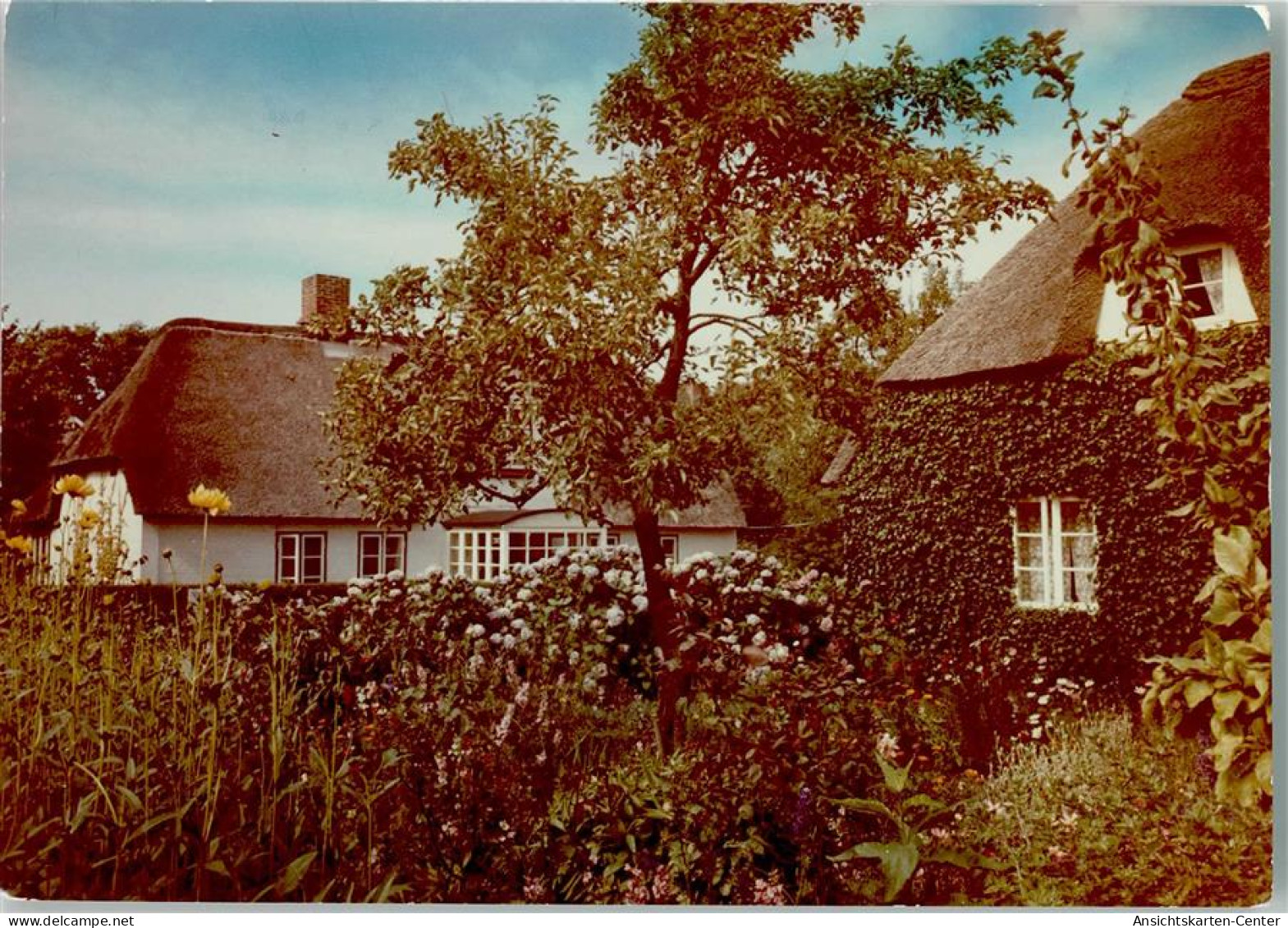 40001208 - Nebel , Amrum - Autres & Non Classés