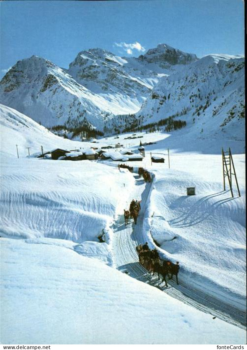 11337464 Sertig Doerfli Schlittenfahrt Mittagshorn Plattenhorn Hochducan Sertigp - Other & Unclassified