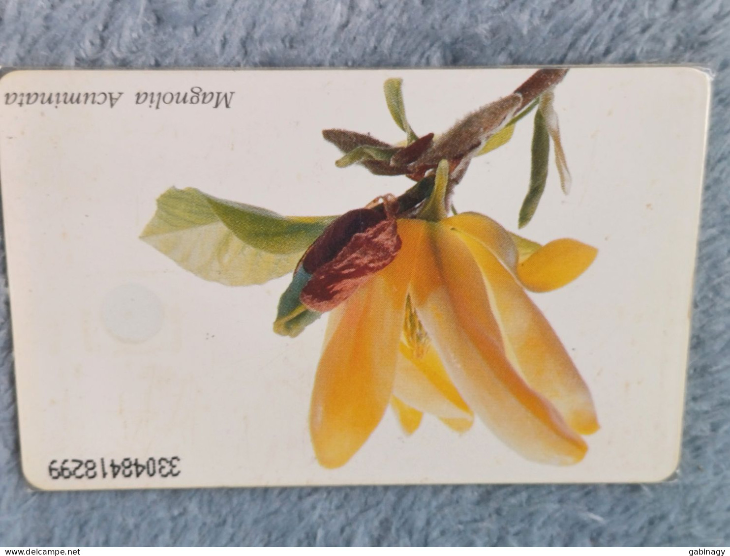 GERMANY-1111 - O 0749 - Mein Schöner Garten Nr.4 - Magnolia Acuminata - 4.000ex. - O-Series : Customers Sets