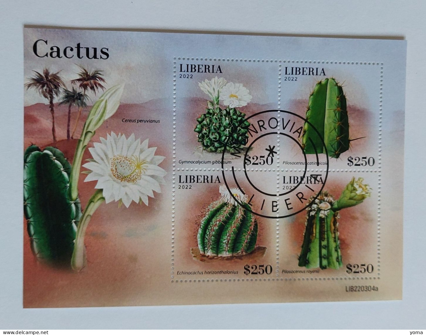 N° 7202 à 7205       Les Cactus   -  Oblitérés - Liberia