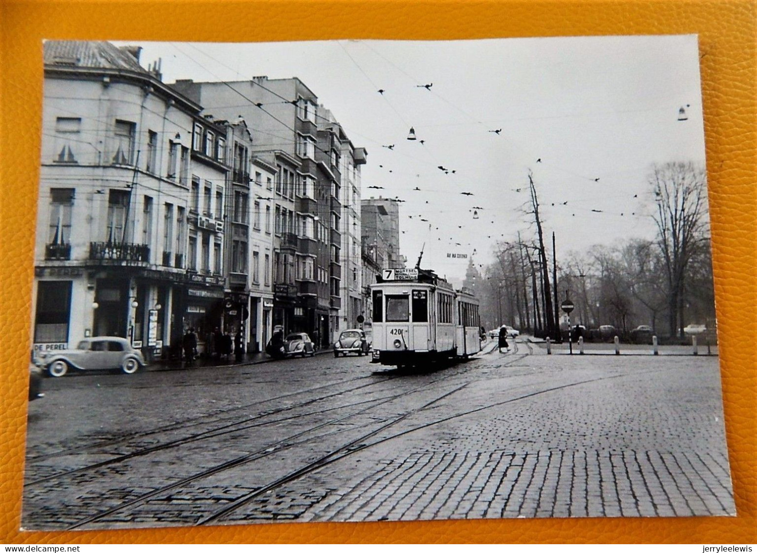 ANTWERPEN  -  Koning Albertpark  - Tramway 1957  -  Foto  J. Bazin  (15 X 10.5 Cm) - Tram