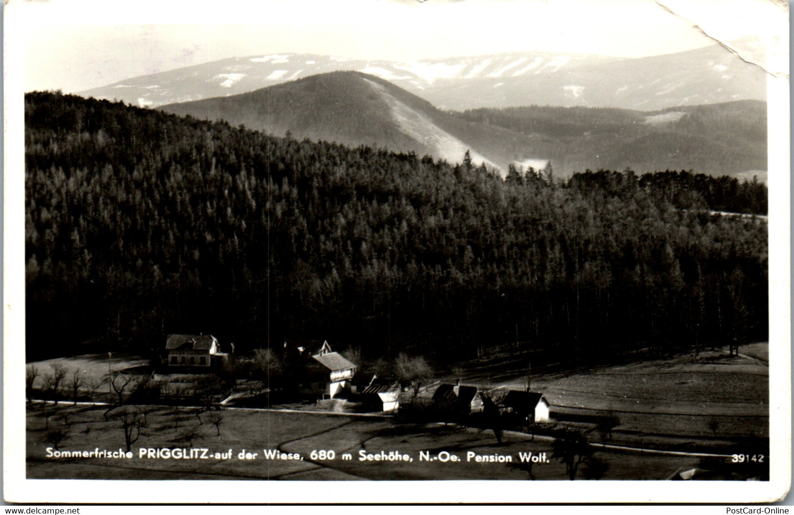 21939 - Niederösterreich - Prigglitz Auf Der Wiese , Pension Wolf - Neunkirchen