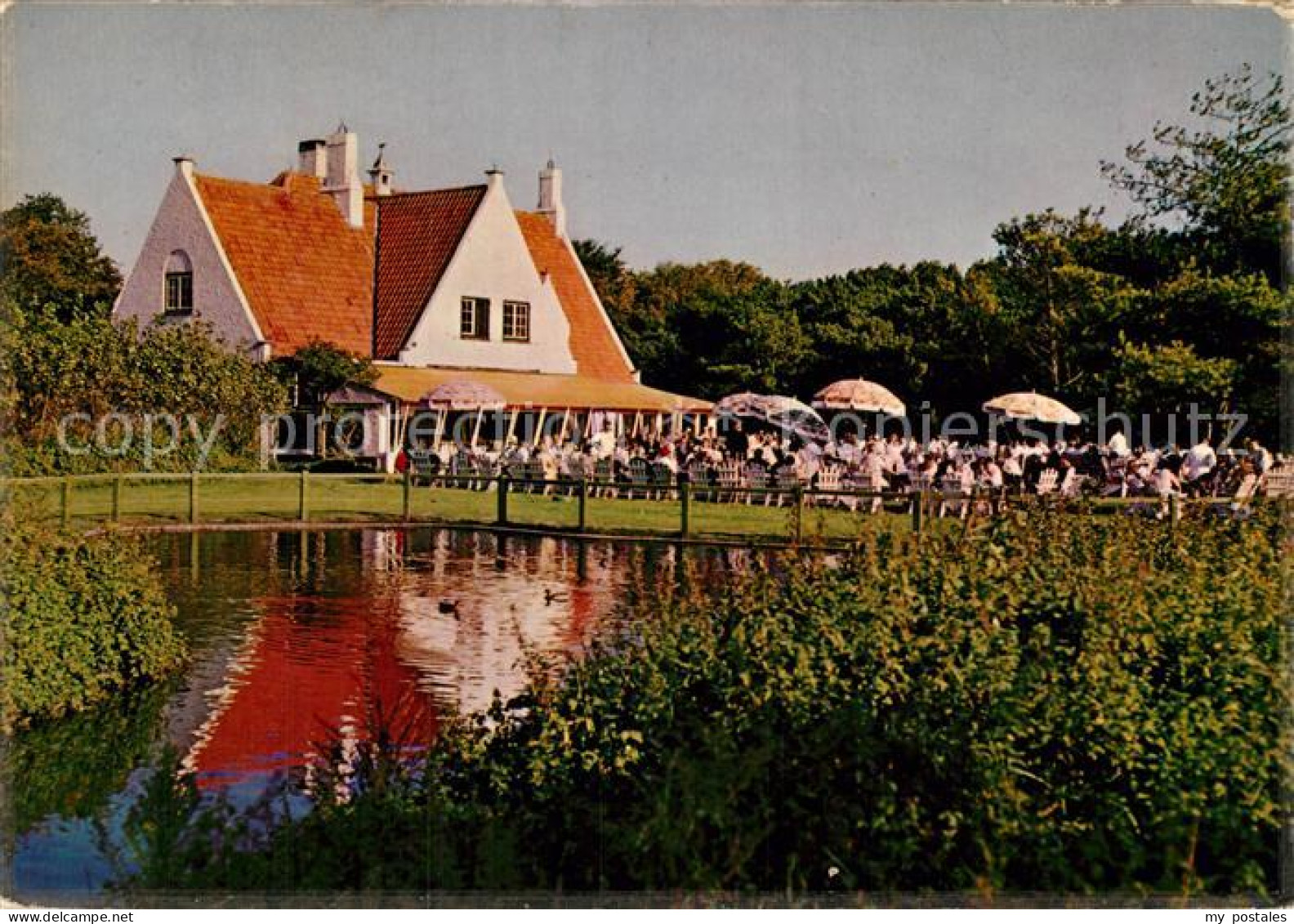 72931309 Zoute Knokke Naturreservat  - Sonstige & Ohne Zuordnung