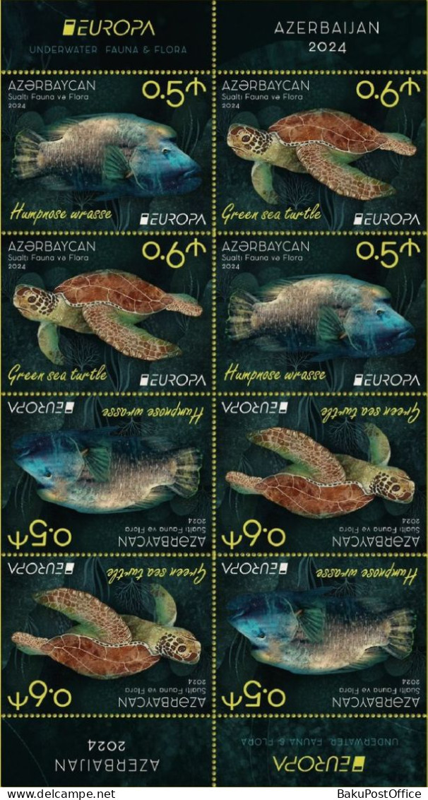 Azerbaijan 2024 CEPT EUROPA EUROPE Underwater Fauna & Flora Full Booklet Without Cover 8 Stamps - Azerbeidzjan