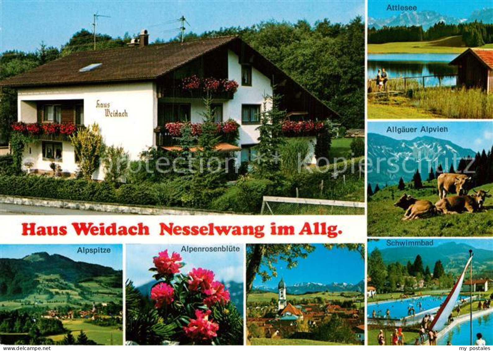 72931166 Nesselwang Haus Weidach Attlesee Schwimmbad Alpvieh Nesselwang - Autres & Non Classés