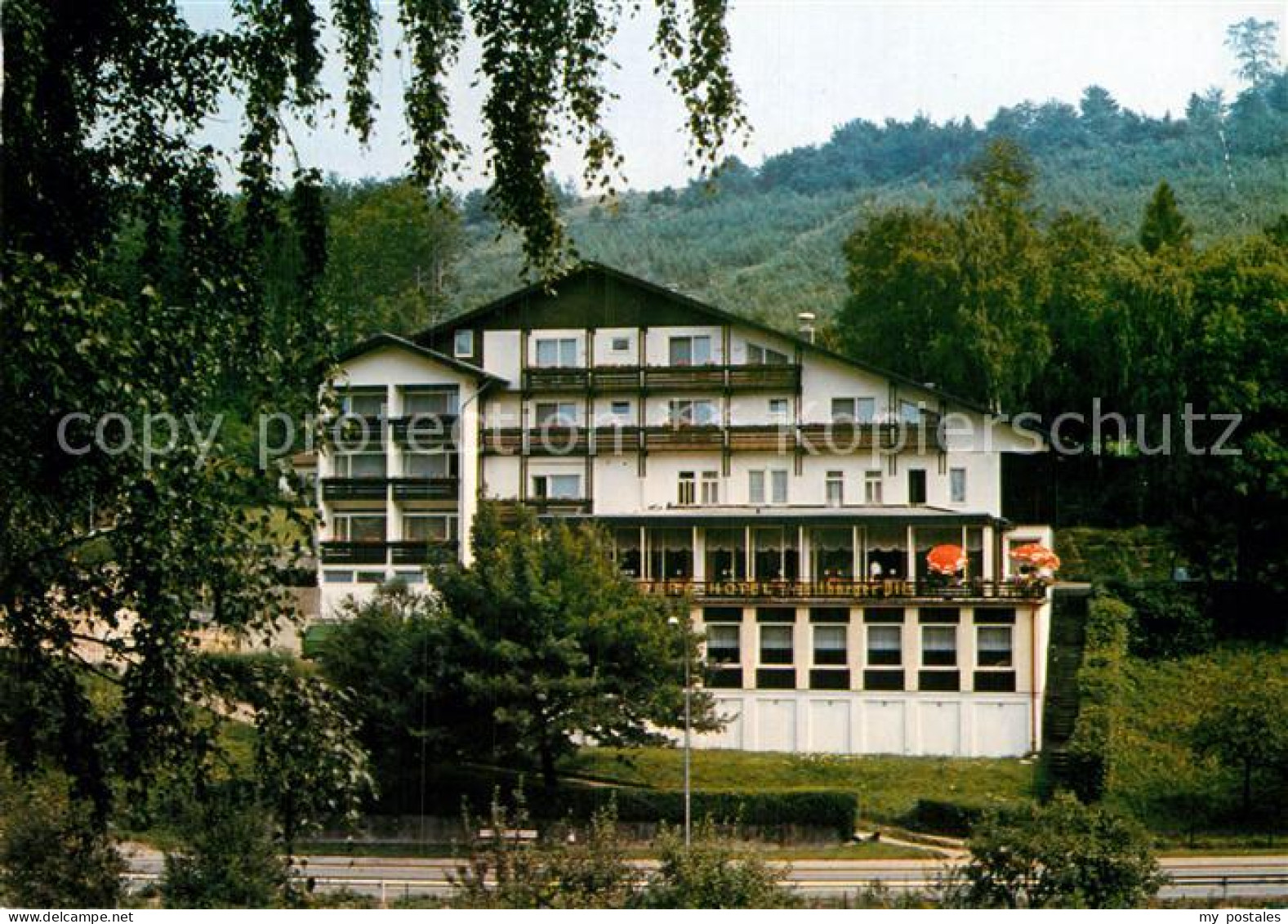 72931086 Wolfshagen Harz Berghotel Wolfshagen Langelsheim - Langelsheim