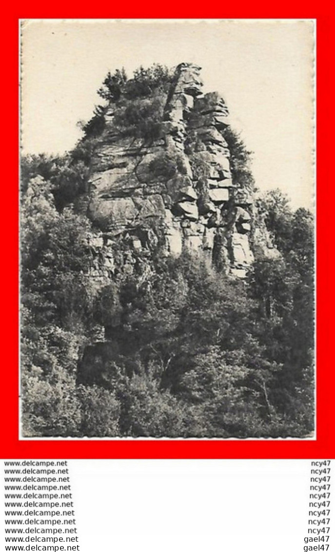 2 CPSM/gf (03) GANNAT.  Groupe De Rochers Surplombant La Sioule / Route Dans Les Gorges De La Sioule...S2490 - Autres & Non Classés