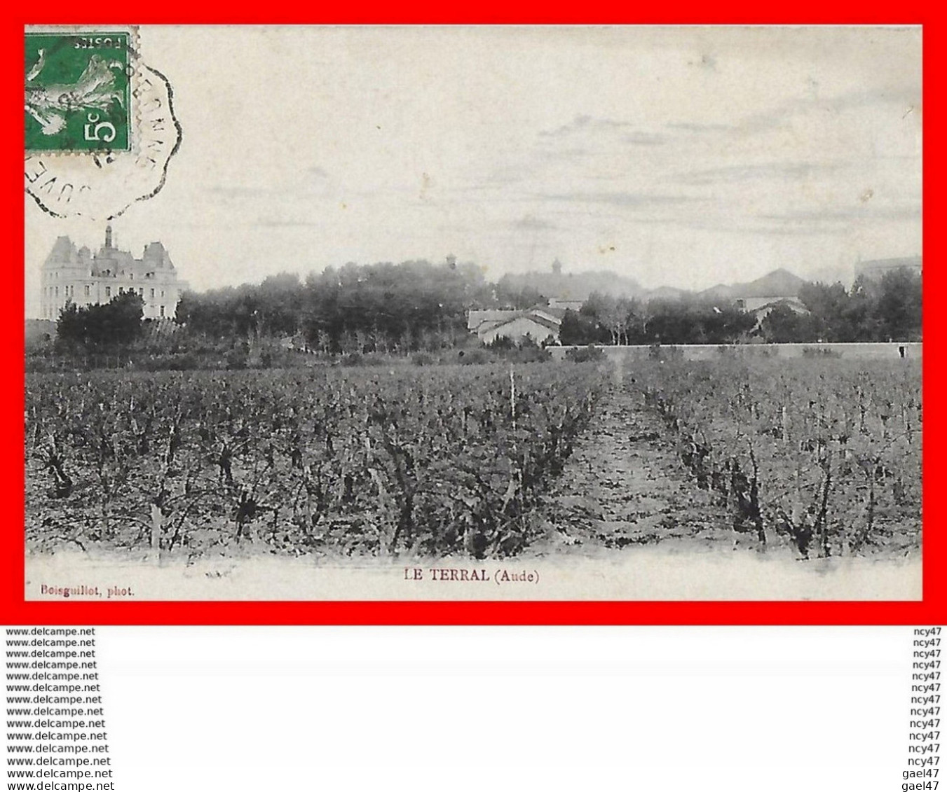 CPA  (11)  LE TERRAL.  Vue Panoramique. Vignes, Le Château...H124A - Other & Unclassified