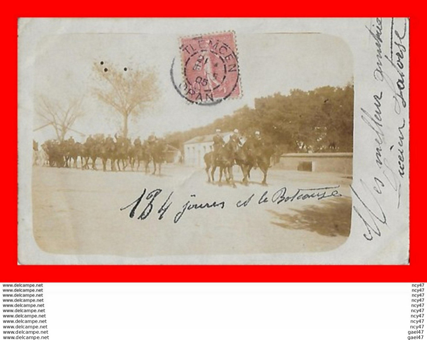 CPA TLEMCEN (Algérie)   Carte Photo, Défilé Militaire...S2537 - Tlemcen