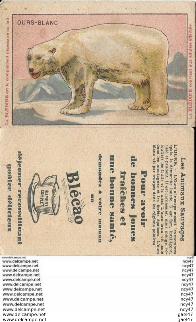 CHROMOS. BLECAO JACQUEMAIRE.  Les Animaux Sauvages. L'Ours. ..I 472 - Tea & Coffee Manufacturers