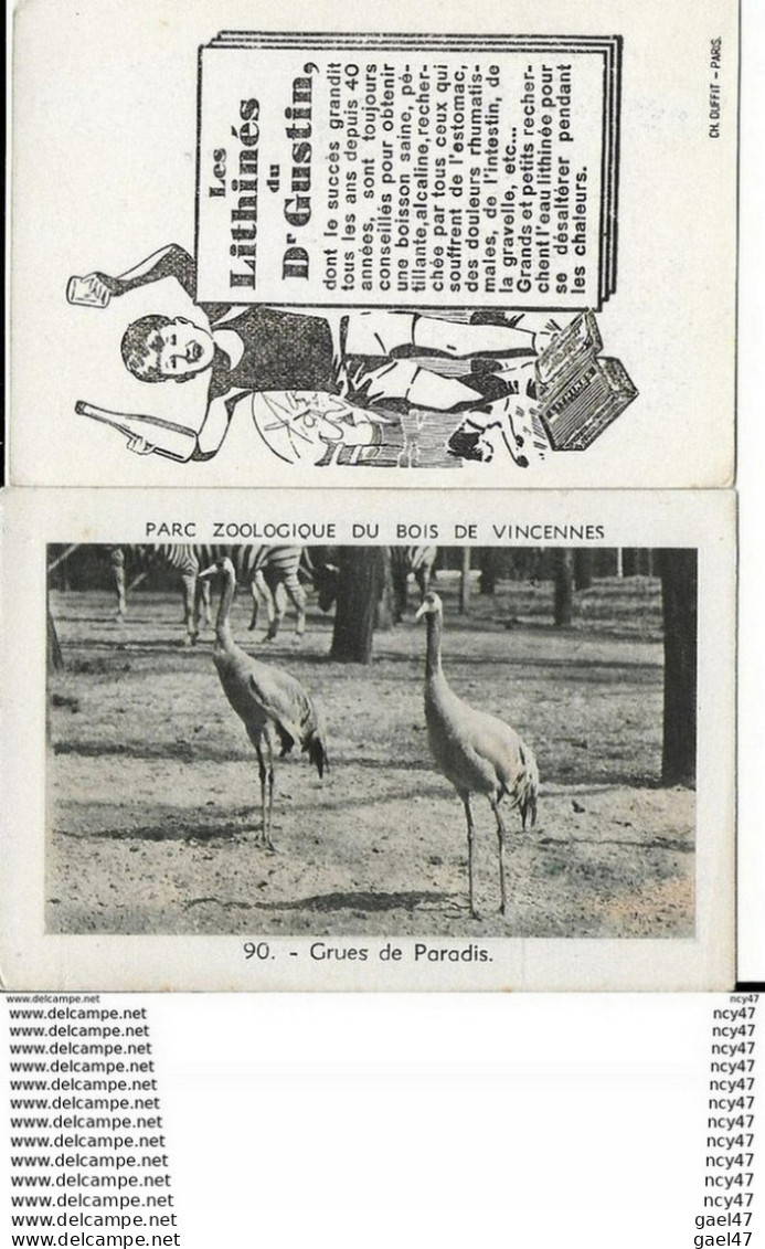 CHROMOS. Les LITHINES.  Dr GUSTIN.  Pard Zoologique Du Bois De Vincennes (Grues De Paradis). ..I 462 - Otros & Sin Clasificación