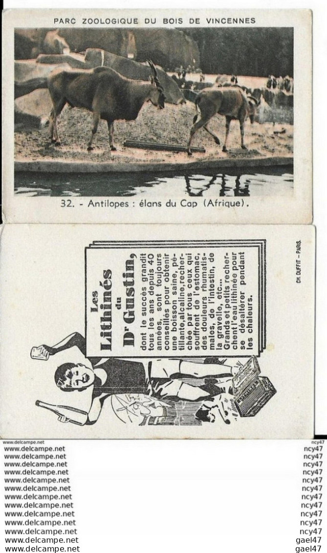 CHROMOS. Les LITHINES.  Dr GUSTIN.  Pard Zoologique Du Bois De Vincennes (Antilopes). ..I 461 - Autres & Non Classés