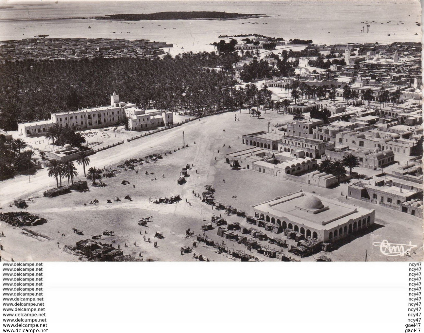 CPSM/pf TOUGGOURT (Algérie) ..Vue Aérienne. ..C231 - Sonstige & Ohne Zuordnung