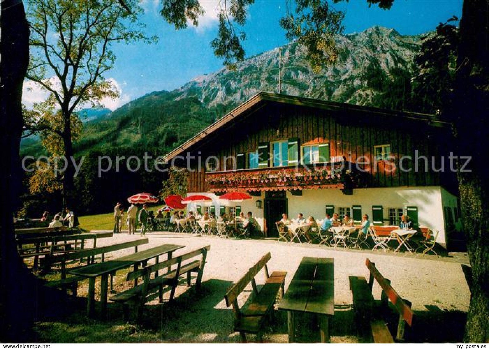 72931036 Bad Reichenhall Padingeralm Mit Hochstaufen Und Zwiesel Bad Reichenhall - Bad Reichenhall