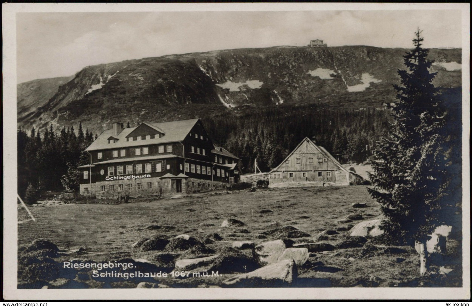 Postcard Krummhübel Karpacz Schlingelbaude - Fotokarte 1931 - Schlesien