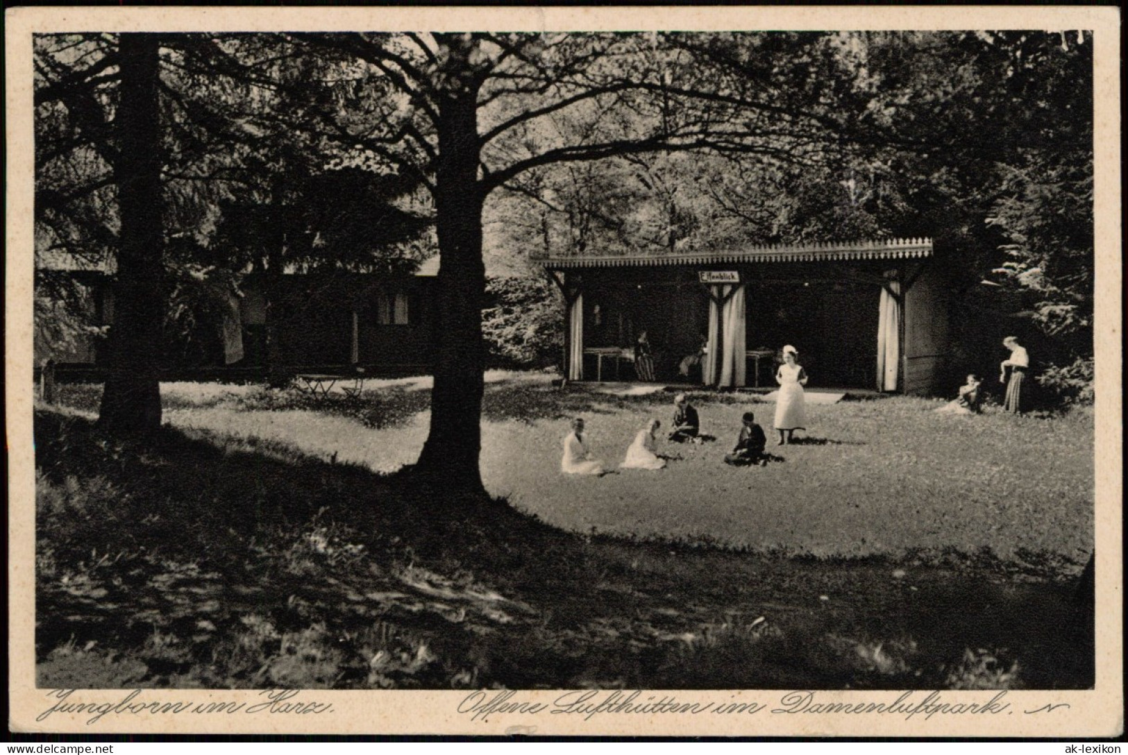 Ansichtskarte Bad Harzburg Kuranstalt Jungborn Harz 1928 - Bad Harzburg