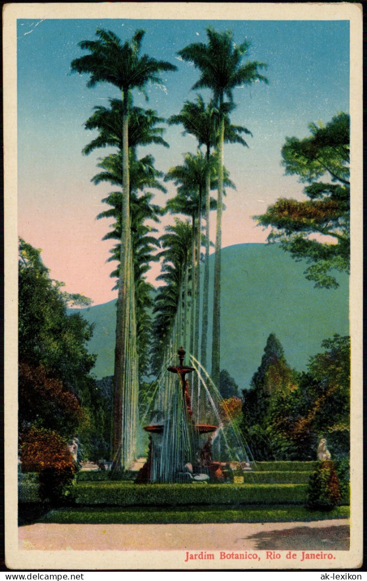 Postcard Rio De Janeiro Jardim Botanico 1928 - Rio De Janeiro