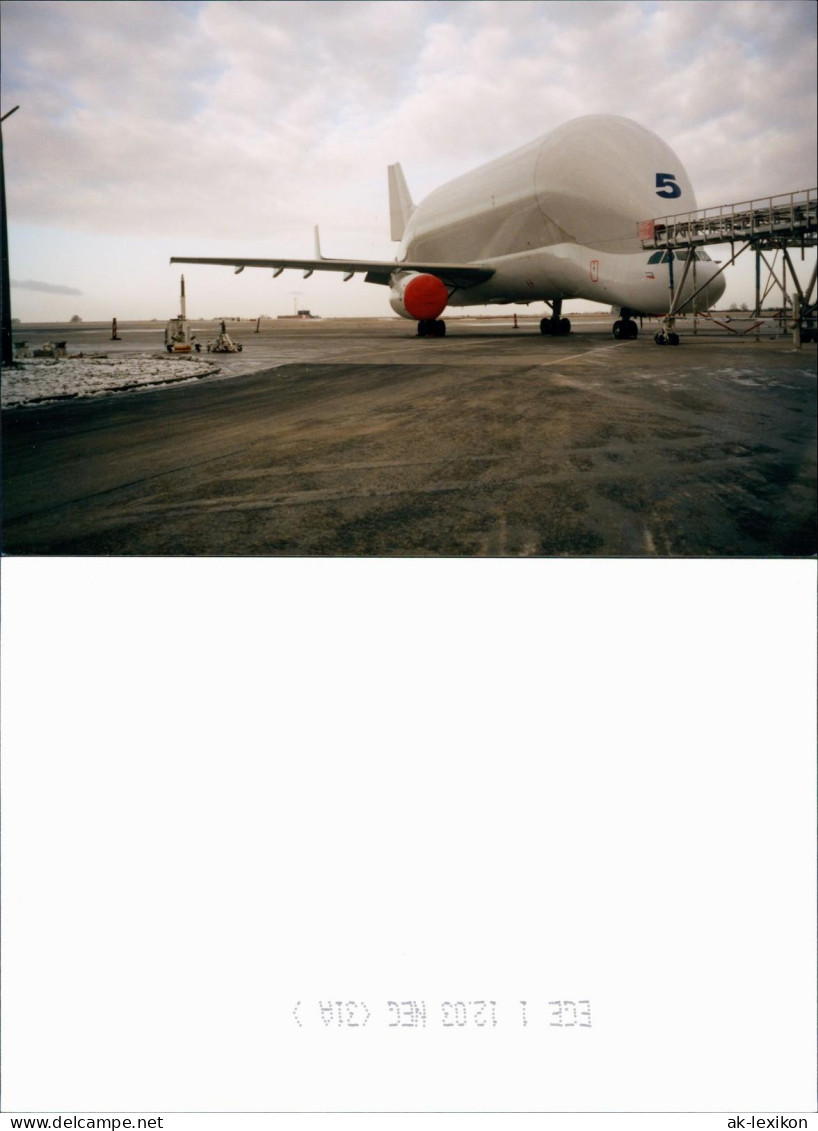 Flugzeug Airplane Avion Airbus Beluga An Der Laderampe 2003 Privatfoto Foto - 1946-....: Modern Era