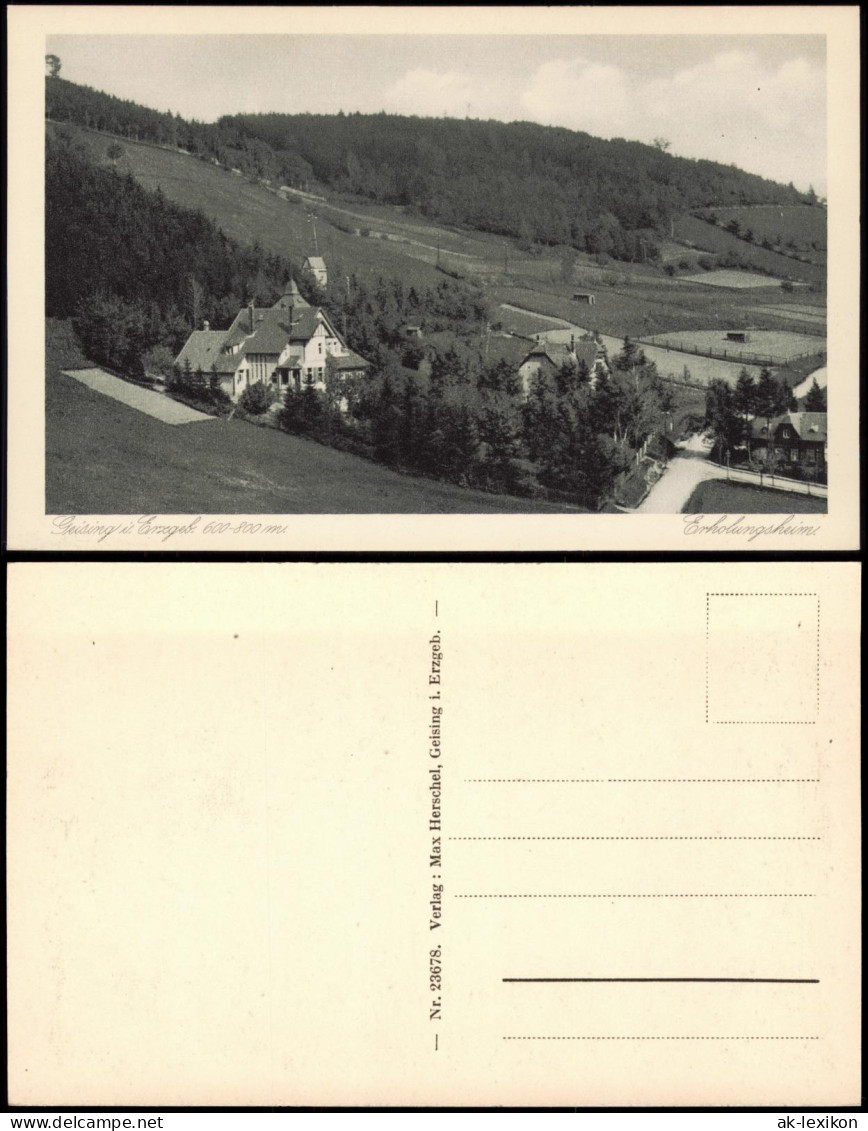 Ansichtskarte Geising-Altenberg (Erzgebirge) Partie Am Erholungsheim 1928 - Geising