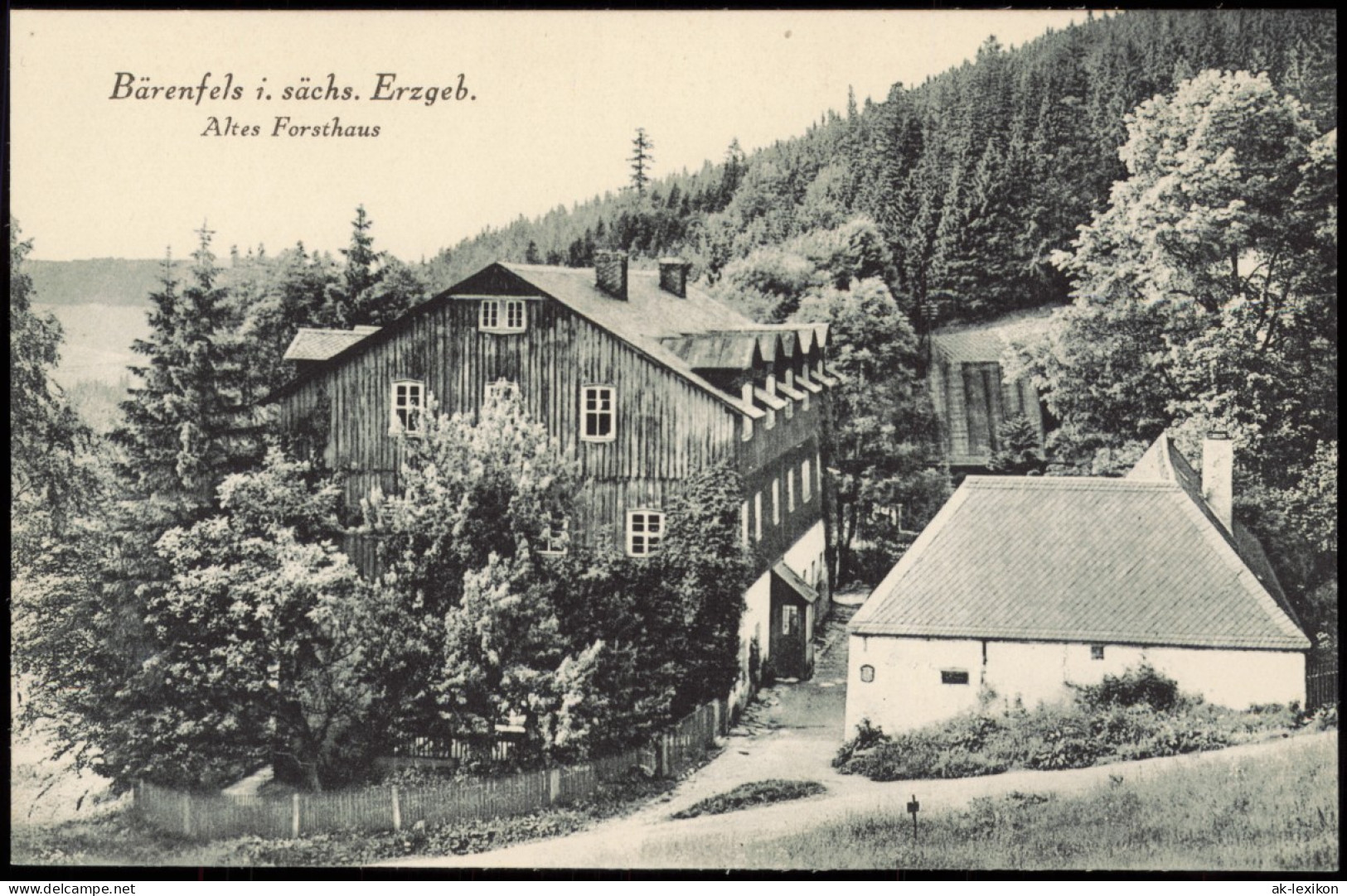 Bärenfels (Erzgebirge)-Altenberg (Erzgebirge) Am Alten Forsthaus 1924 - Altenberg