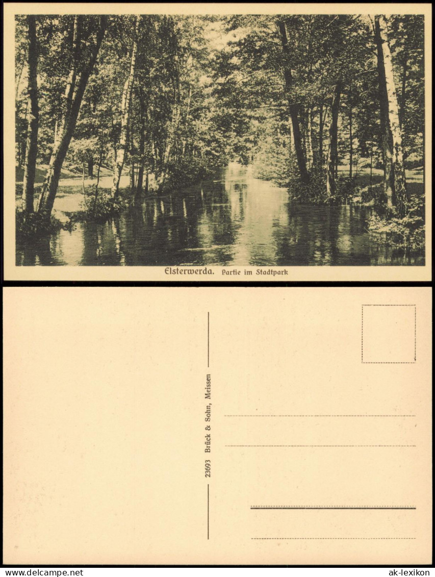 Ansichtskarte Elsterwerda Wikow Partie Im Stadtpark 1924 - Elsterwerda