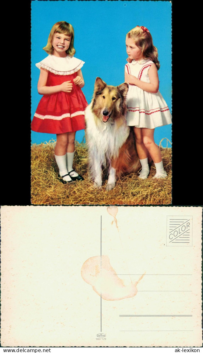 Menschen Soziales Leben (Kinder) Mädchen Mit Hund (Collie) 1970 - Abbildungen